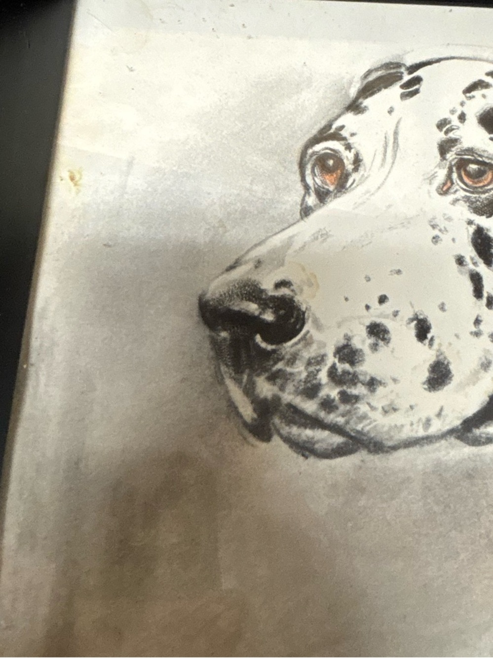 Picture Frame Tray Dalmations - Picture 3 of 6